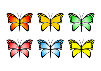 Obraz premium Butterfly collection