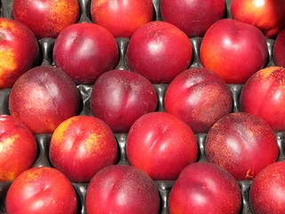 Nectaines du marché