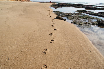 Spaziergang am Strand