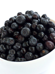 Bilberry