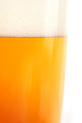 Beer Drink on White Background