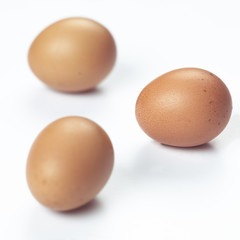 chicken eggs