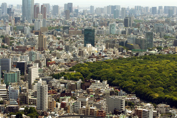 View of the park in  Tokyo
