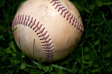 Old Baseball in the Grass