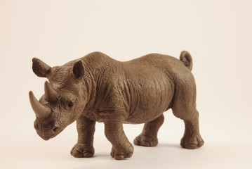 Obraz premium Rhinocéros