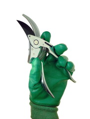 Secateurs in Hand