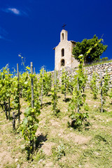 Fototapeta na wymiar vineyard and Chapel of St. Christopher, Hermitage, France