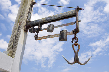 Fish Scale © Tim Glass