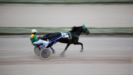 jockey sits in carts and operated thoroughbred horse