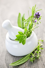 Healing herbs in mortar and pestle