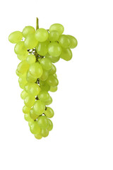 green grape