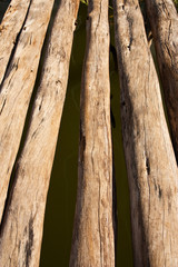 Texture of lumber