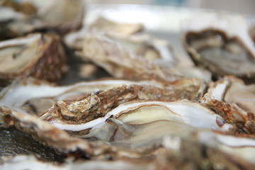 huitres
