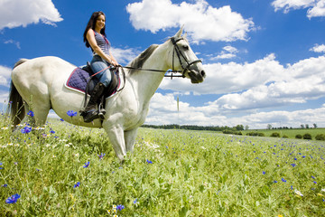 equestrian on horseback