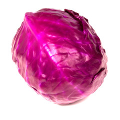 Fototapeta premium Red Cabbage