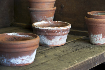 Naklejka premium Clay Pots