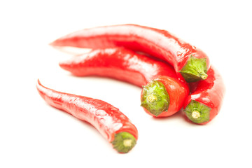 four fresh red hot peppers on white with water drops