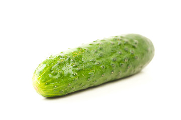fresh green cucumber isolated on white with water drops