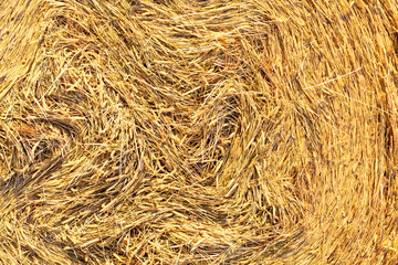 Straw background