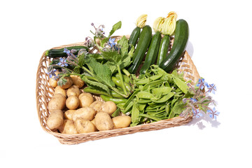fresh harvested vegetables in a basket