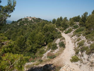 Chemin vers le village