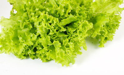 Salad leaves on a white