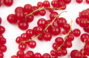 Red currant