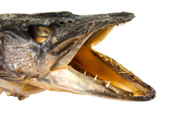 head of pike