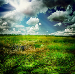 Beautiful Nature Rural Landscape