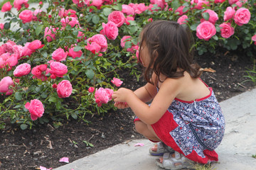 Kleines Mädchen im Sommerkleid hockt an einem Rosenbeet