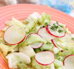 Frischer Salat