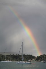 Regenbogen