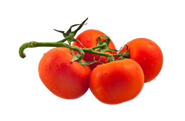 Tomatoes