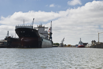 Fototapeta premium Hafen