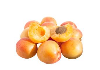 apricot fruit
