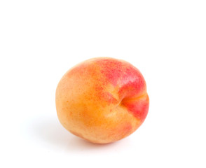 apricot fruit