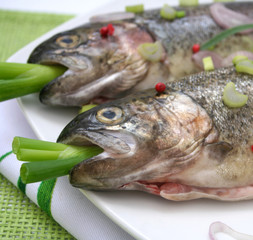 frischer Fisch
