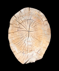 Cut of a log - over black