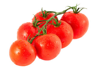 Fresh tomatoes on the white background