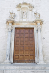 Fototapeta na wymiar Wooden Portal of Cathedral St. Sabino. Bari. Apulia.