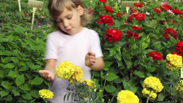 girl goes among set of flowers in garden examines