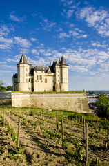 Fototapeta na wymiar Chateau de Saumur, Pays-de-la-Loire, France