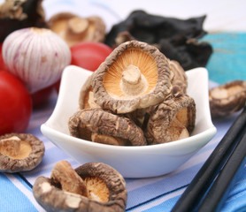 Shiitake Pilze
