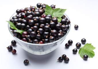 Crockery with black currant.