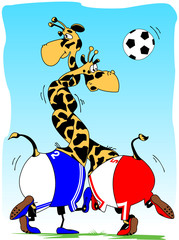 giraffe Football