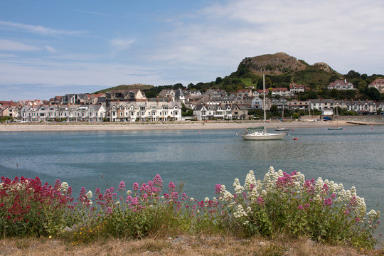 Views from Conwy Marina