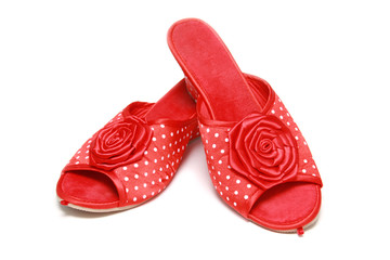 Red slippers
