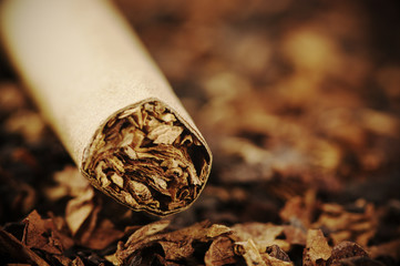 Cigar and tobacco