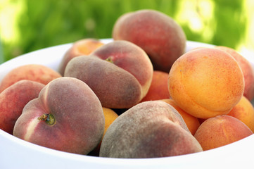 assortiment de fruits