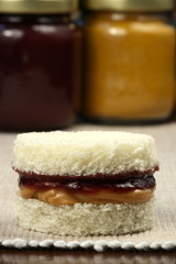 delicious  peanut butter and jelly sandwich